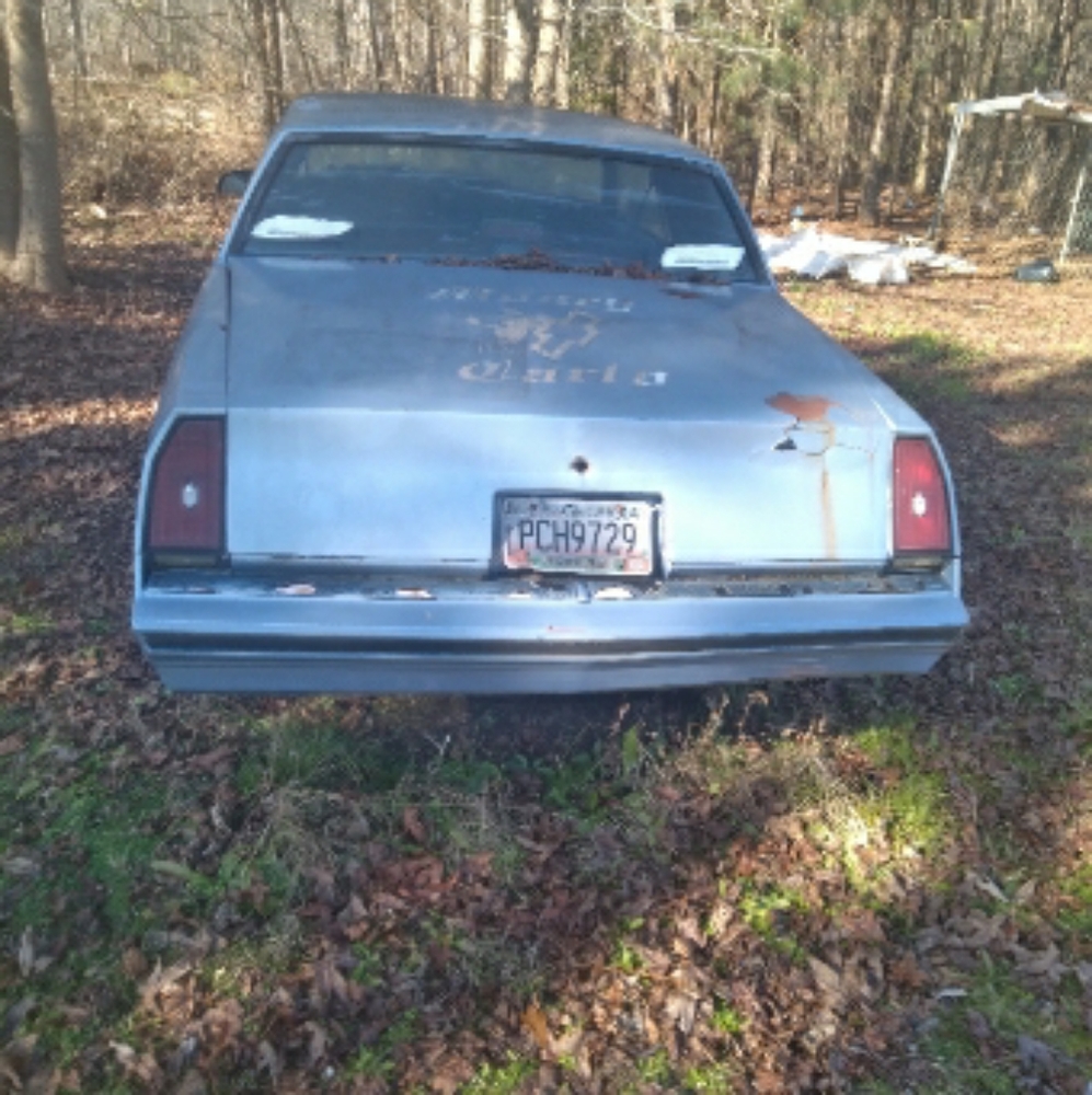Monte carlo ss body